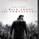Прогулка среди могил (2014)