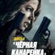 Досье "Чёрная канарейка" (2024)