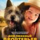 Мой любимый двортерьер (2024)