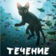 Течение (2024)